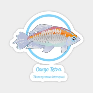 Congo Tetra Magnet