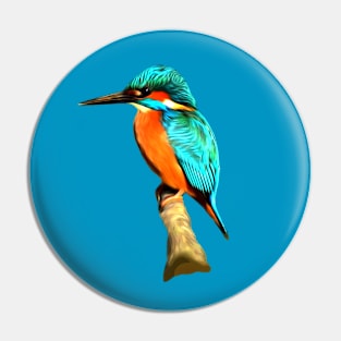 Kingfisher Pin