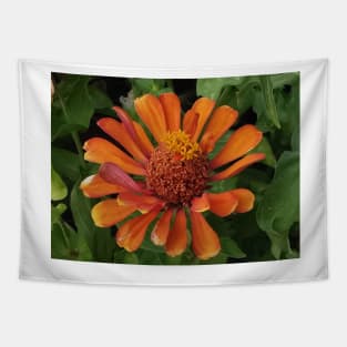 zinnia flower bloom pink floral fantasy gold center Tapestry