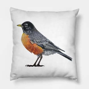 American Robin Drawing Pillow