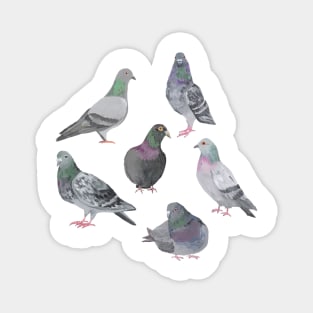 Pigeon Party Magnet