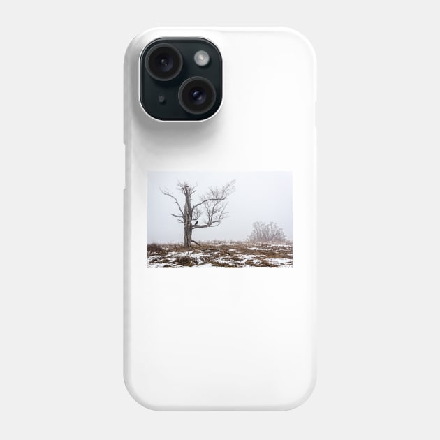 Lone Tree In Fog Phone Case by Robert Alsop