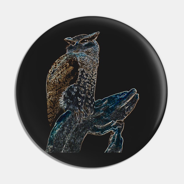 owl colored Pin by hottehue