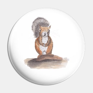 Hand drawn squirrel using pen and ink and watercolors Pin