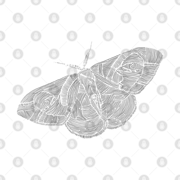 Buterfly by Linefingerart