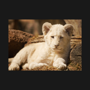 White Tiger Gifts And Merchandise Teepublic