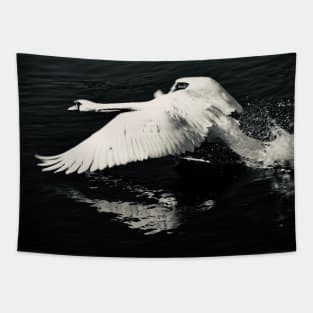 Swan 3 / Swiss Artwork Photography Tapestry