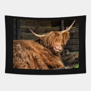 Honey the Hairy Coo Tapestry