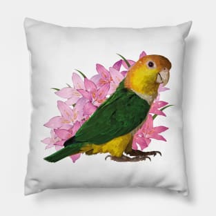 caique Pillow