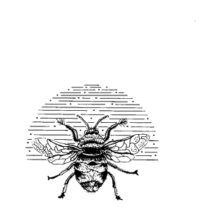 bee T-Shirt