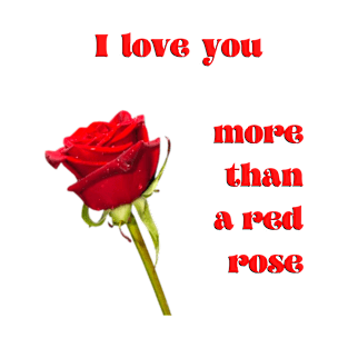 I love you more than a single red rose with red text T-Shirt