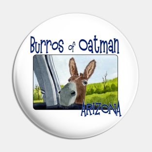 Burros of Oatman, Arizona Pin