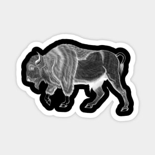 Ghost Buffalo Magnet