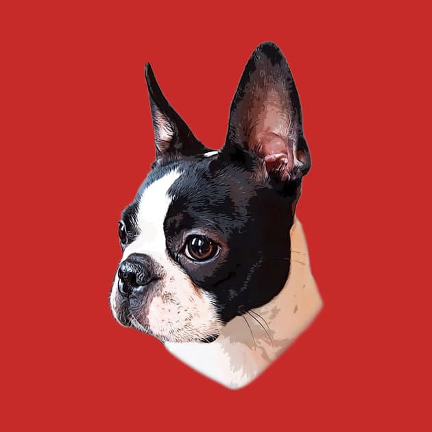 Boston Terrier Face Puppy Dog by Elarex