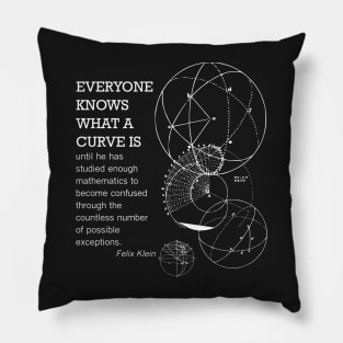 Math Quote Pillow