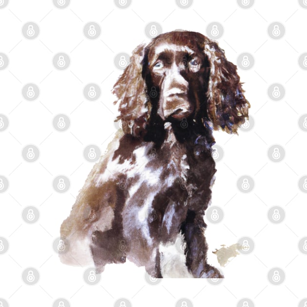 Boykin Spaniel Watercolor - Dog Lover Gifts by Edd Paint Something