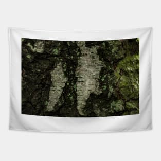 Birch Bark With Moss Tapestry