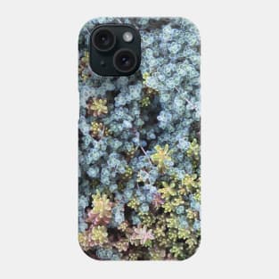 Stonecrops in Spring Phone Case