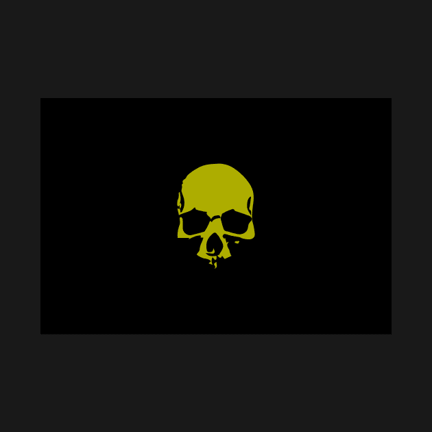 Black Flag Skull by Classicshirts