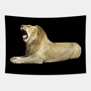 Lion - Big Cat - Cat - Africa Tapestry