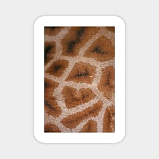 Natural Abstracts - Giraffe Hide Magnet