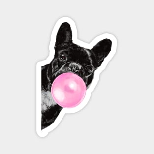 Bubble Gum Sneaky French Bulldog in Green Magnet