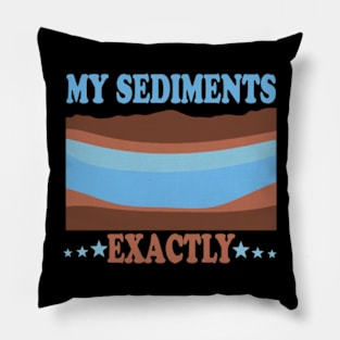 My Sediments Exactly Pillow