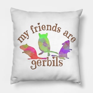 My friends are gerbils (colourful watercolour) Pillow