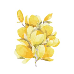 Yellow Magnolia Spring Bloom T-Shirt