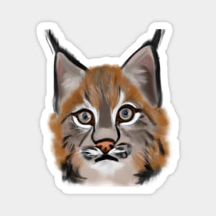 Cute Bobcat Drawing Magnet