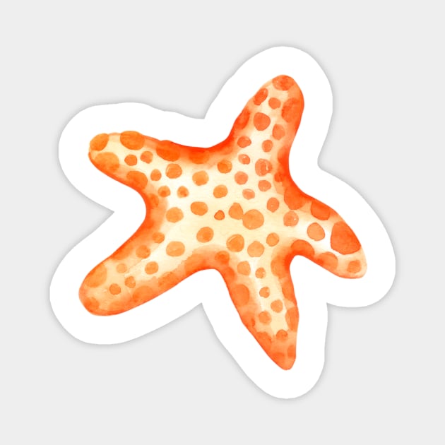 colorful cute starfish Magnet by seahorses animals