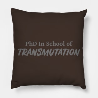 PhD in School of Transmutation DND 5e Pathfinder RPG Role Playing Tabletop RNG Pillow