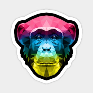 Color Chimp Magnet