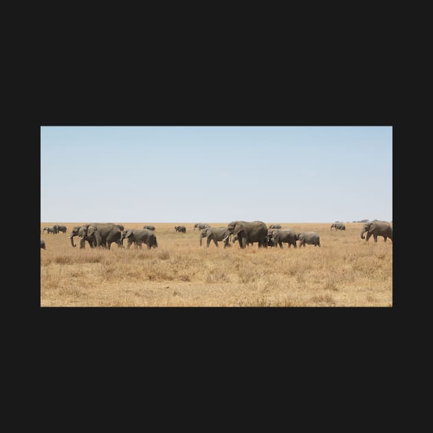 Elephant Herd, Serengeti, Tanzania by Carole-Anne