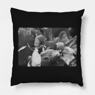 Vintage beautiful flower petals on a black and white film Pillow