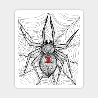 Geometrical Spider Magnet