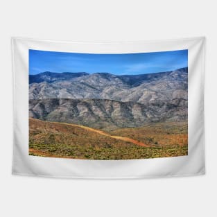 Beautiful Desert Tapestry