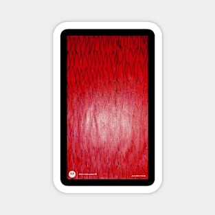 Black phase Red Magnet