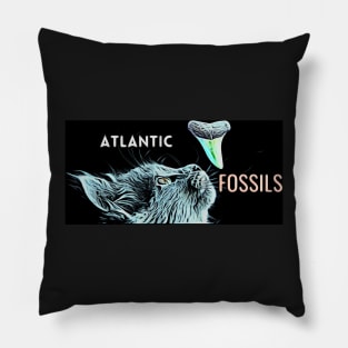 Cat and Atlantic Fossils Shark Tooth Pillow