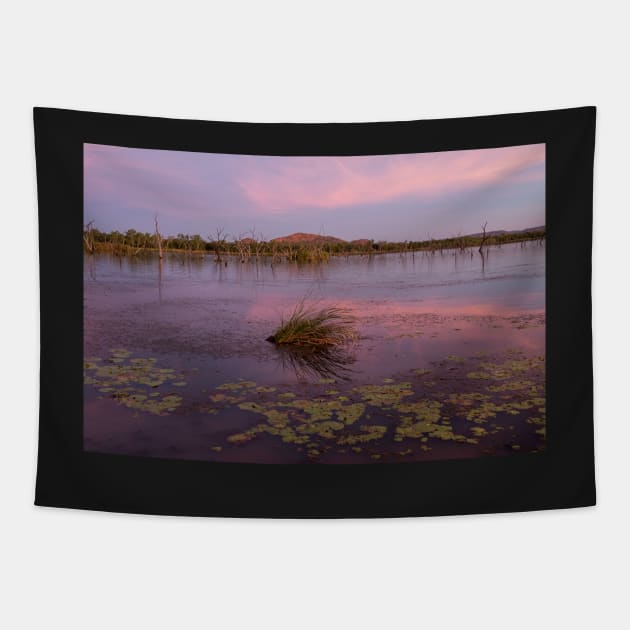 Lake Kununurra Tapestry by athexphotographs