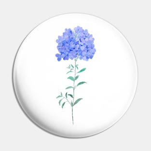 blue purple Plumbago auriculata flower water color Pin