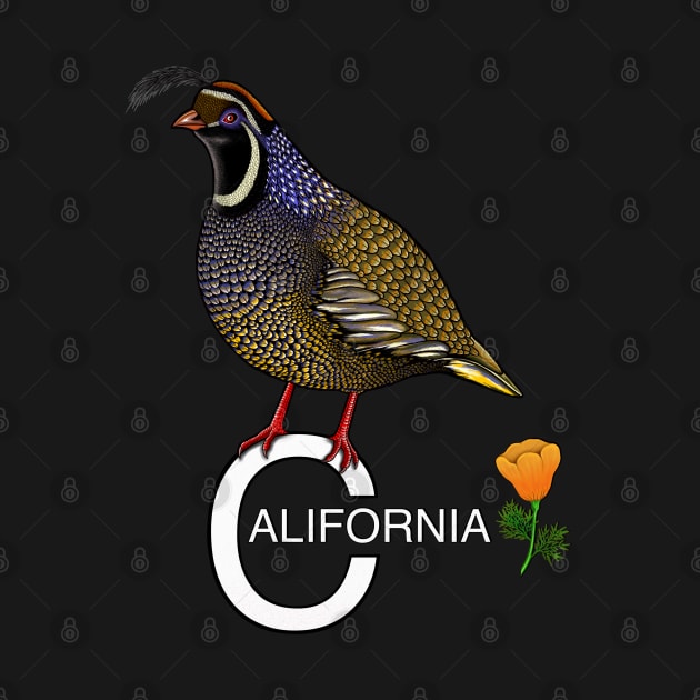 California quail state bird Californian poppy flowers by Artardishop