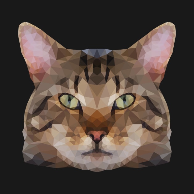 Tabby Cat face low poly by colinstefan