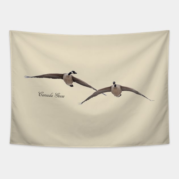 Canada Geese in Flight Tapestry by Whisperingpeaks