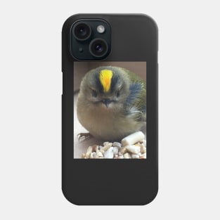 Punk Rock Chick - King of the Birds! My Friend the Goldcrest! Phone Case