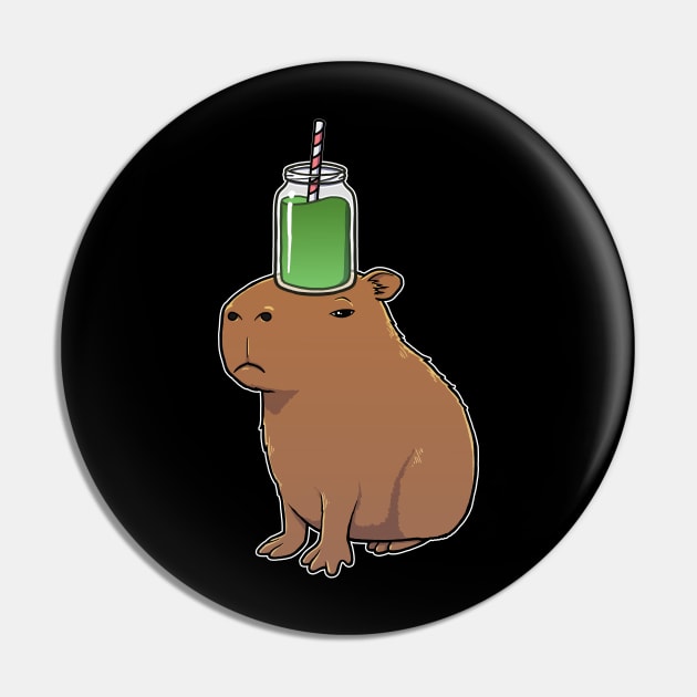 Capybara with a Green Smoothie on its head Pin by capydays