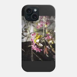 red Malus 'Radiant' crab apple blossoms #4 Phone Case