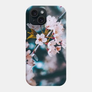 Cherry Blossoms Photograph Phone Case