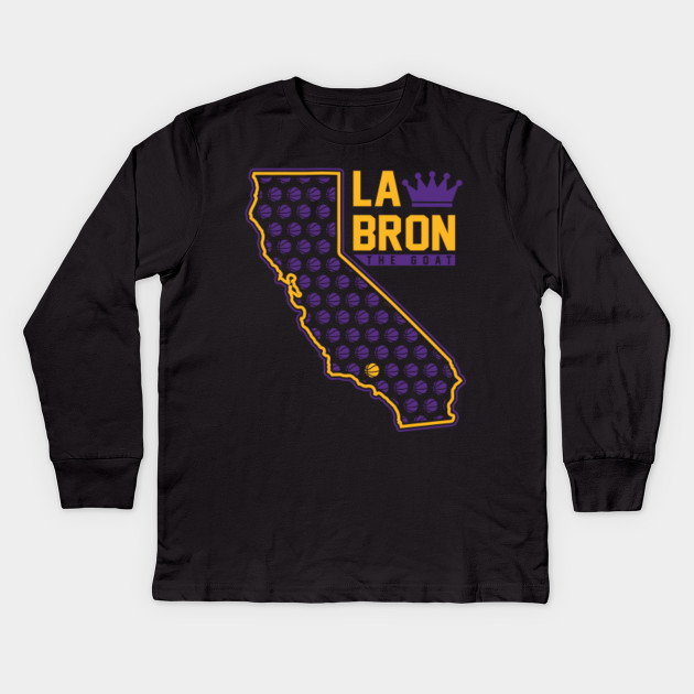 lebron long sleeve shirt