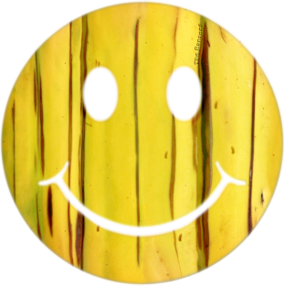 smiley banana 16 Magnet